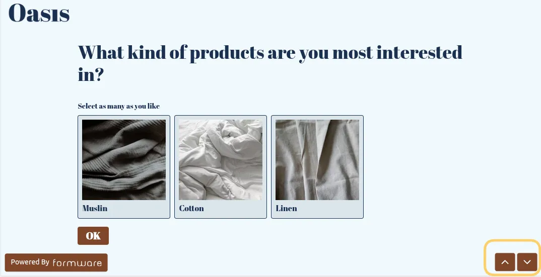 Form with navigation arrows