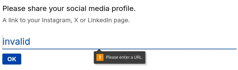 Invalid website input